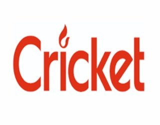 CRİCKET
